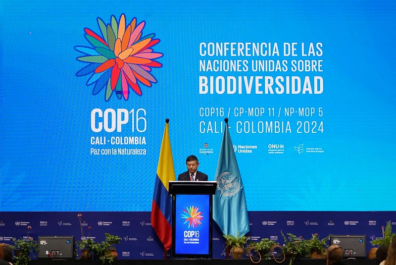 Church groups commit to biodiversity at COP16